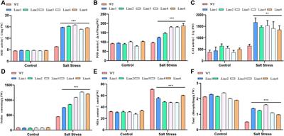 Heterologous Expression of Arabidopsis AtARA6 in Soybean Enhances Salt Tolerance